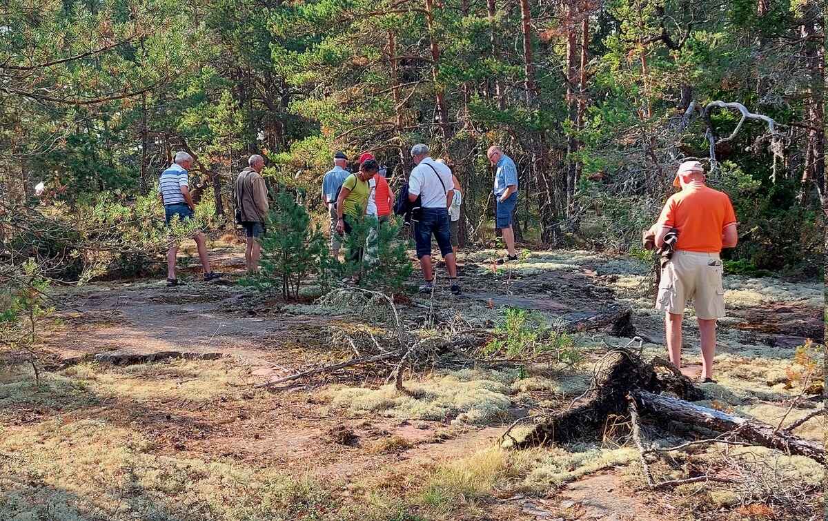 Mens vi venter på færgen går vi ud og kigger på et lille stykke af Aalands natur